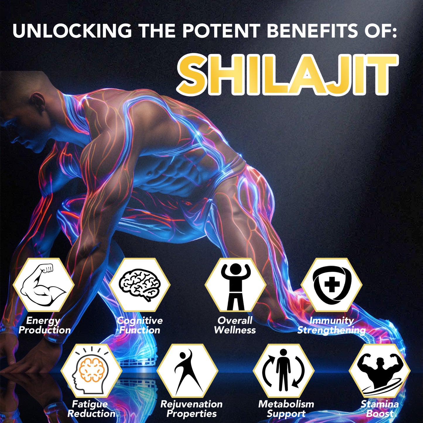Shilajit Capsules