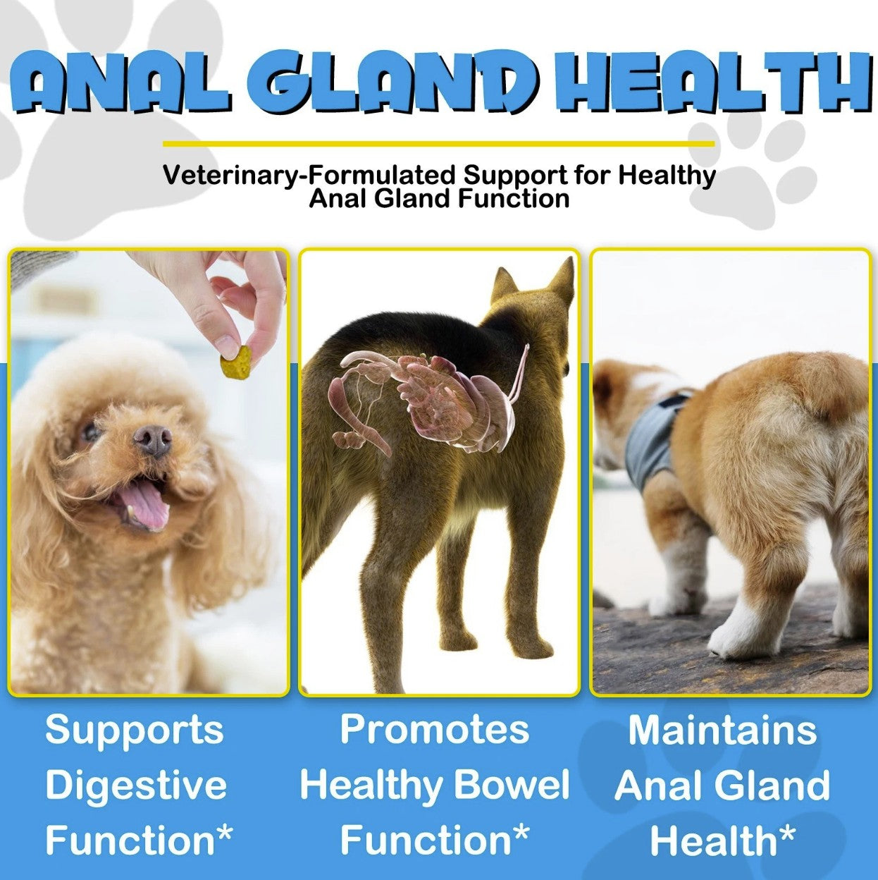 Anal Gland Support For Dogs - 150 Chews