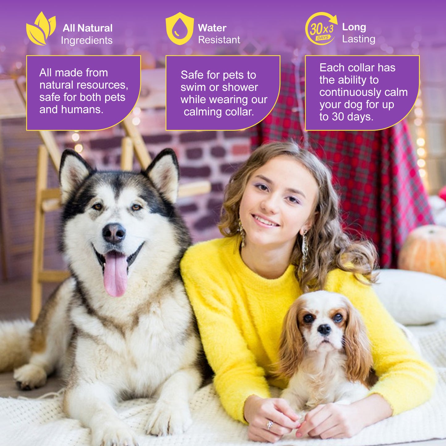CALMING COLLAR FOR DOGS