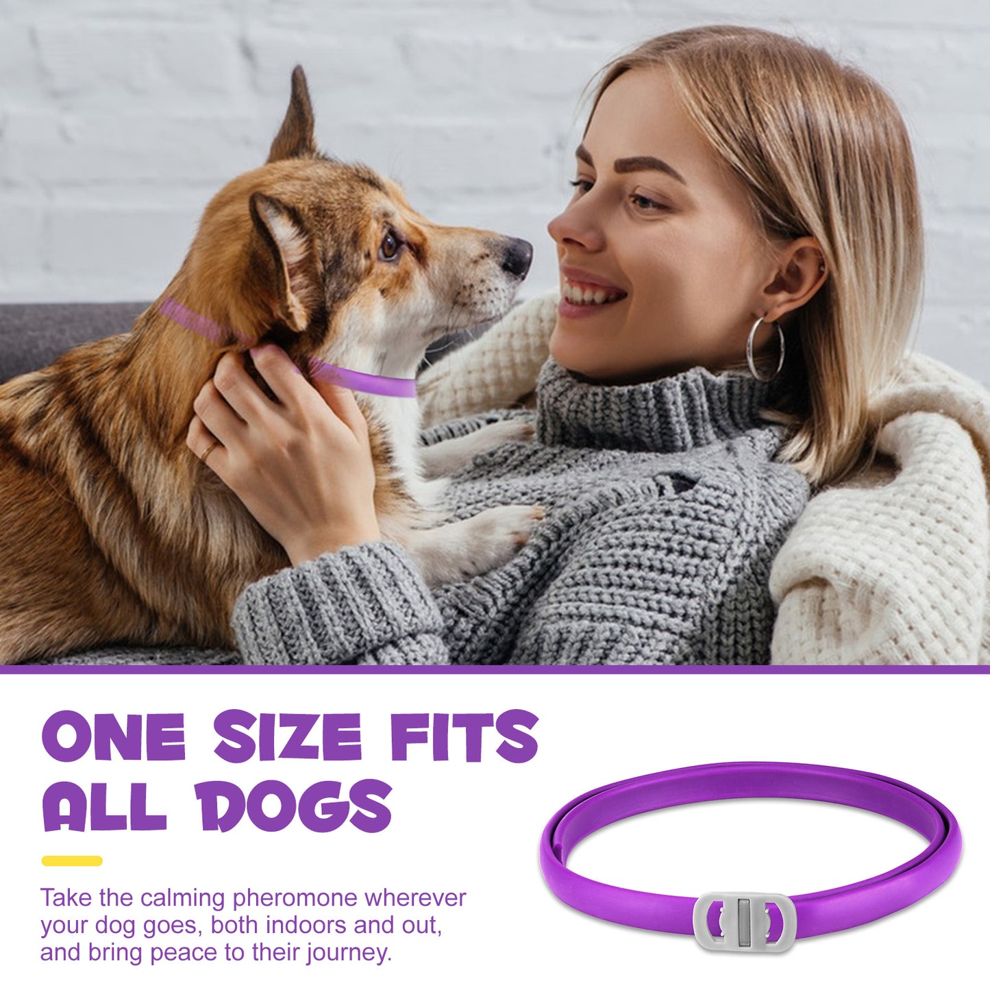 CALMING COLLAR FOR DOGS