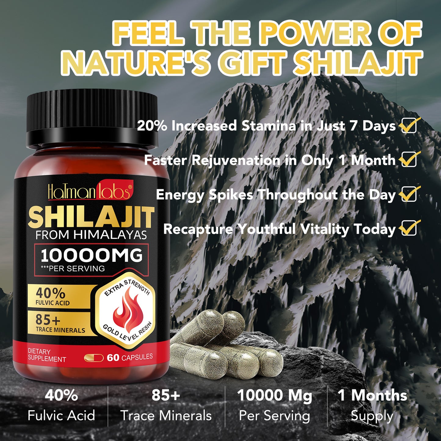 Shilajit Capsules