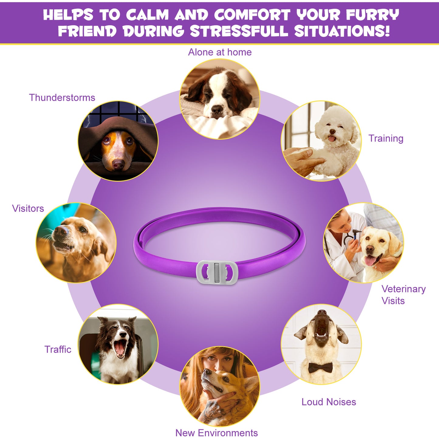 CALMING COLLAR FOR DOGS