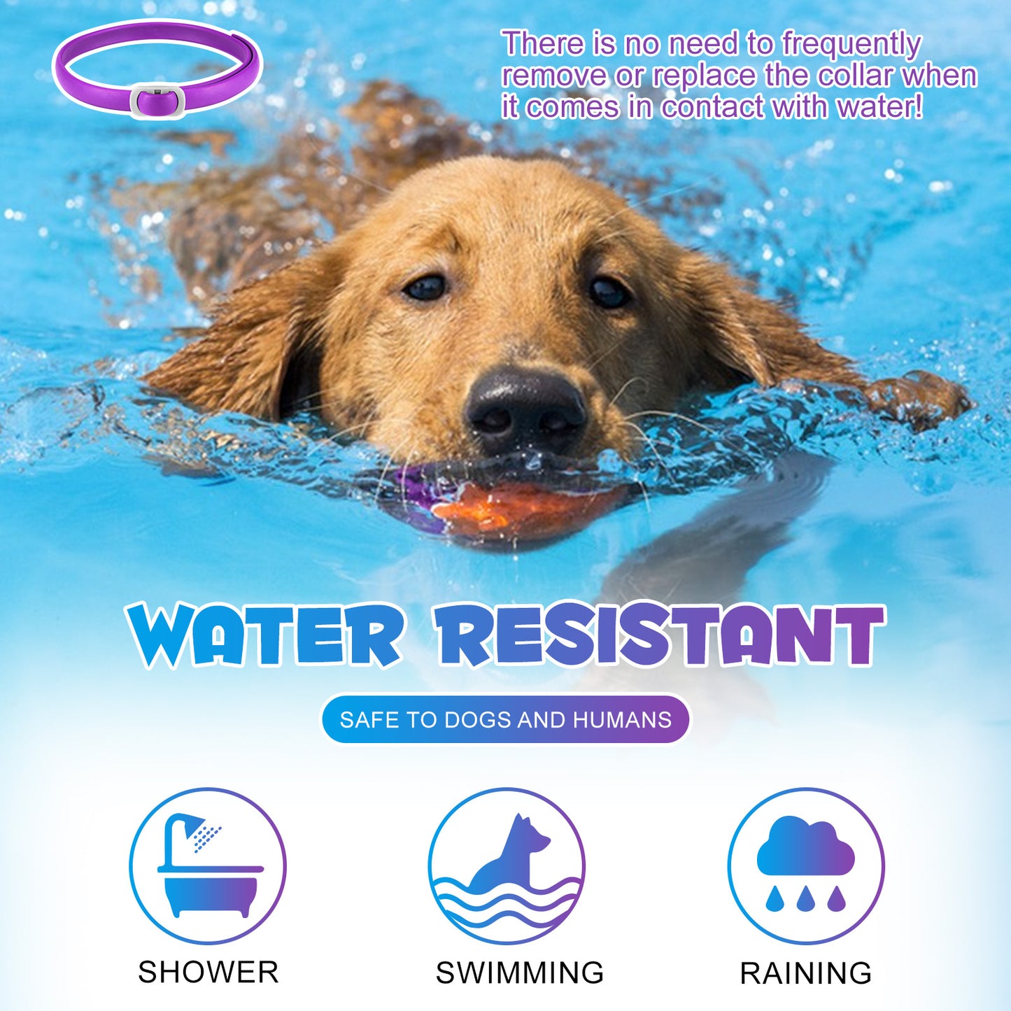 CALMING COLLAR FOR DOGS