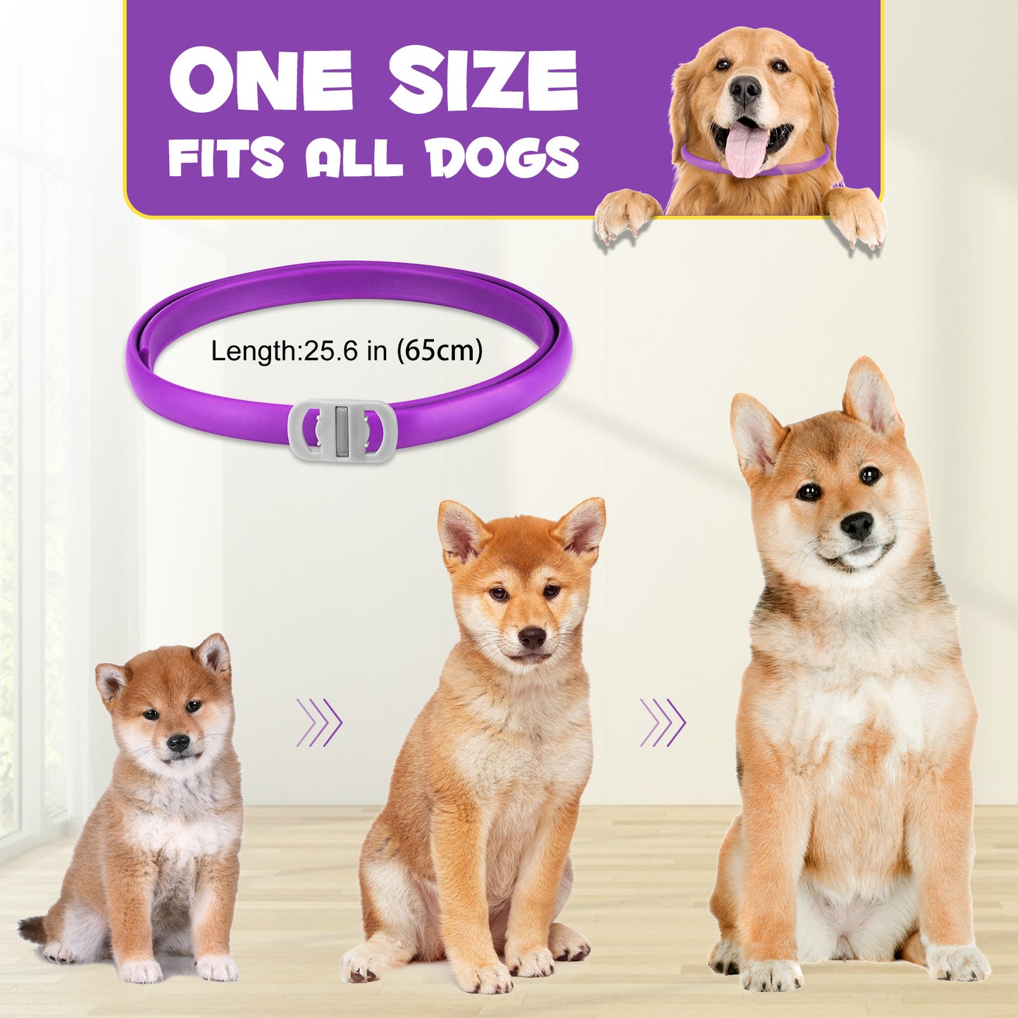 CALMING COLLAR FOR DOGS