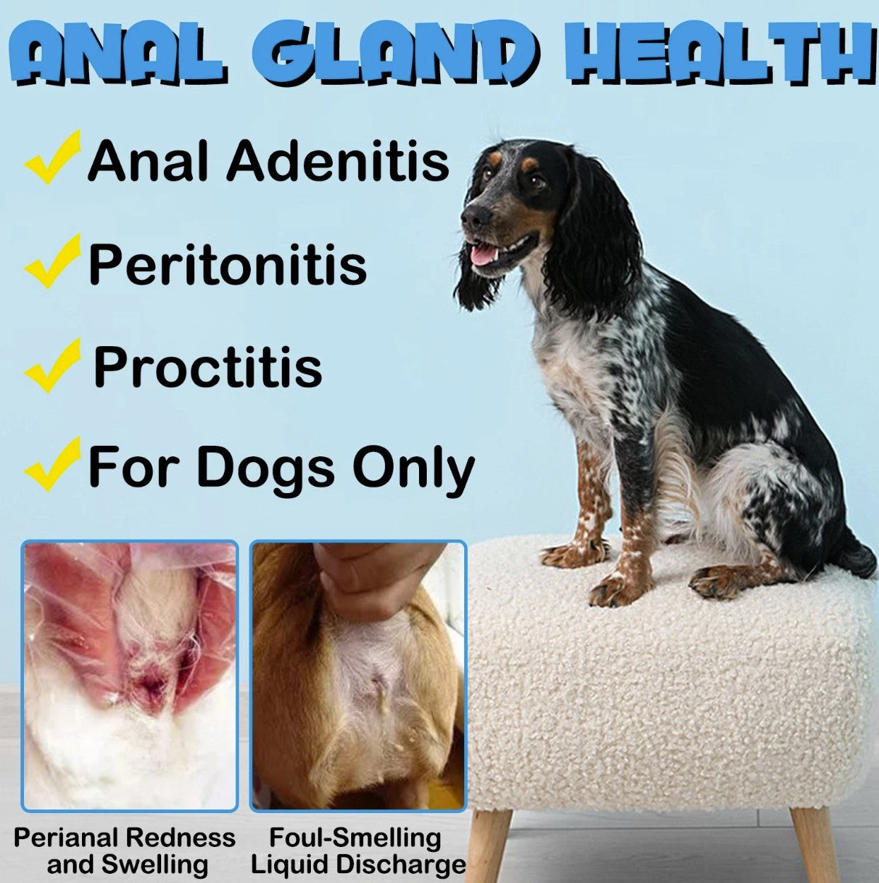 Anal Gland Support For Dogs - 150 Chews
