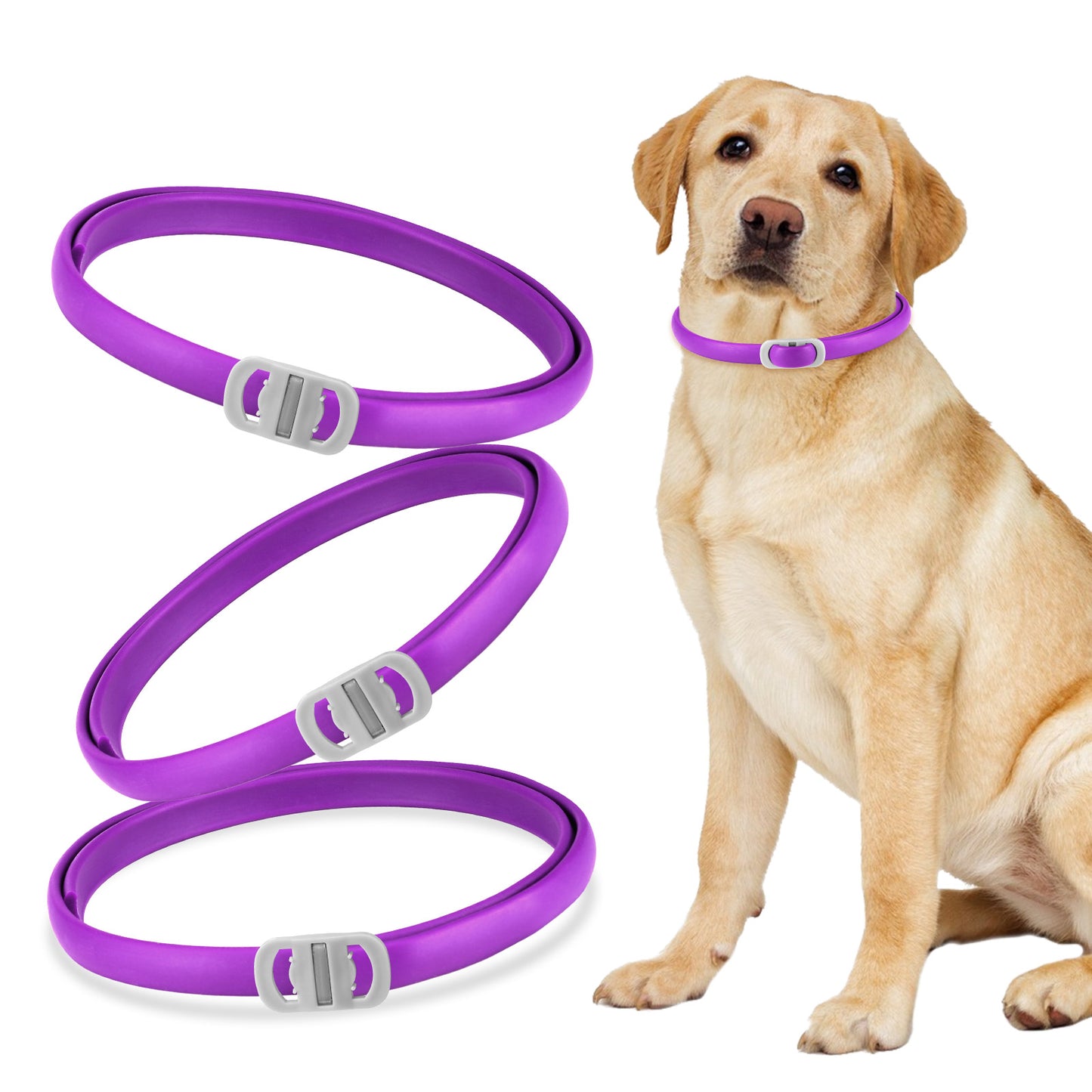 CALMING COLLAR FOR DOGS