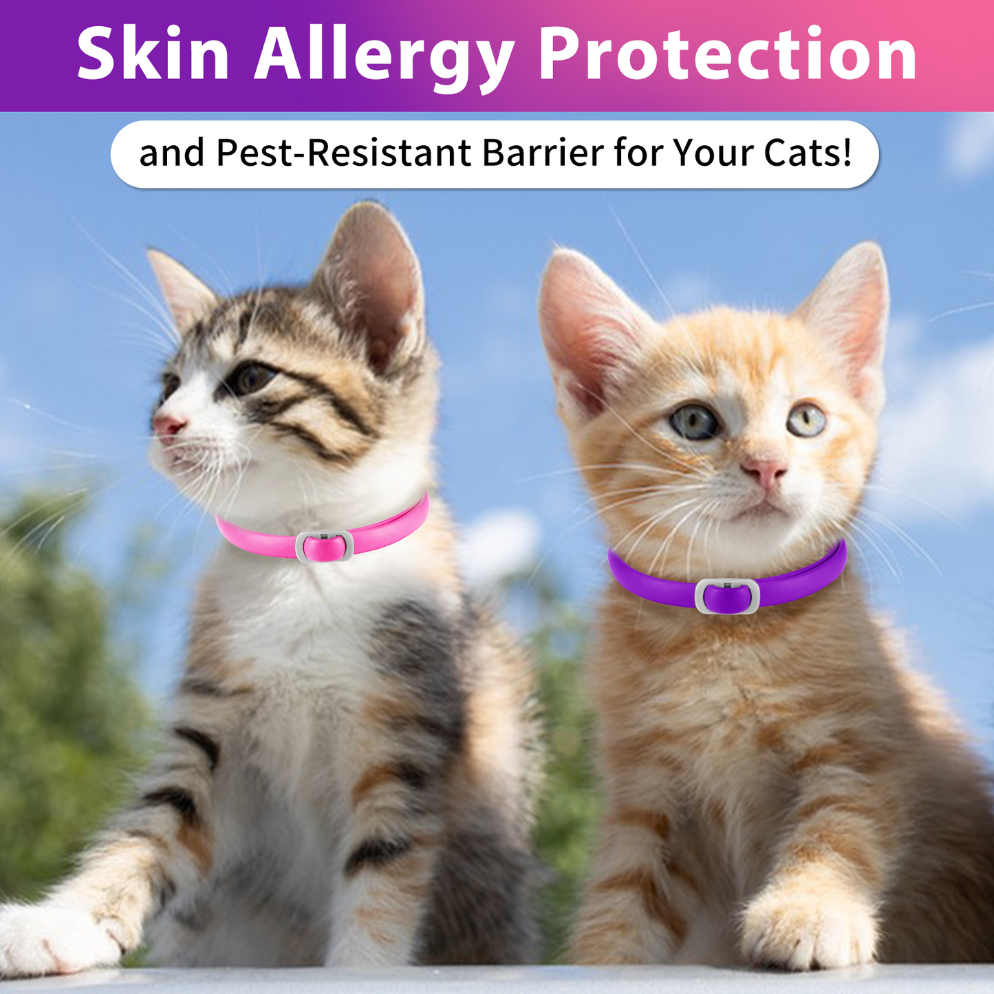 FLEA & TICK COLLAR FOR CATS