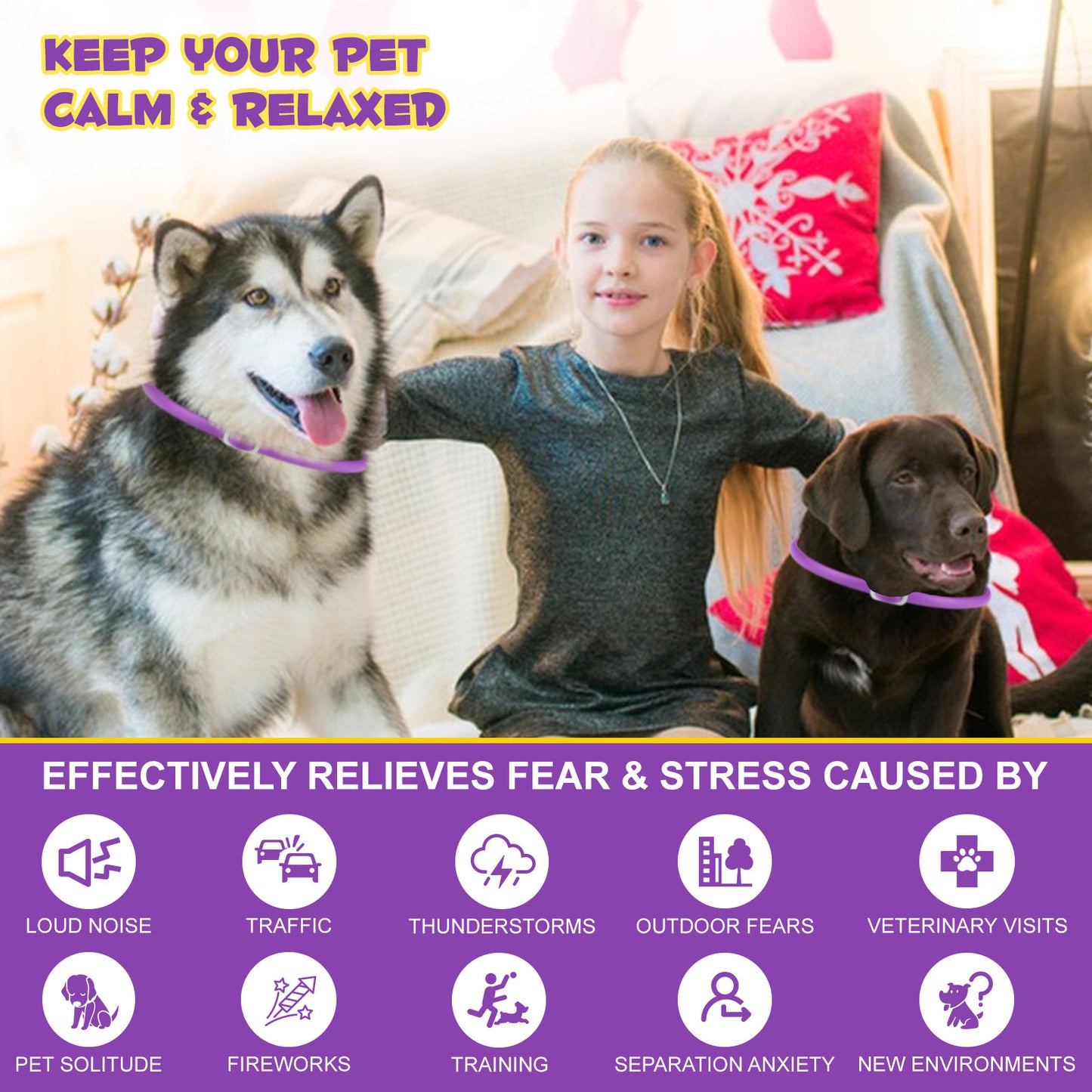 CALMING COLLAR FOR DOGS