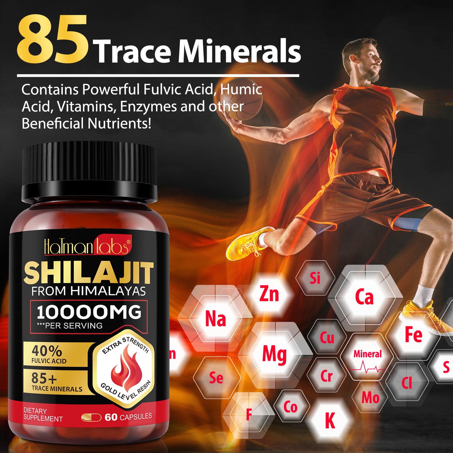 Shilajit Capsules