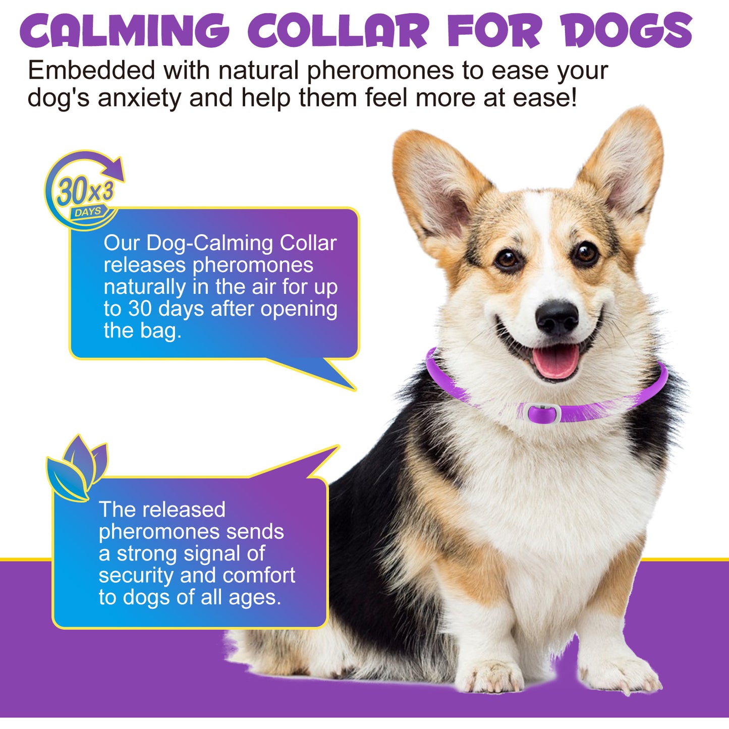 CALMING COLLAR FOR DOGS