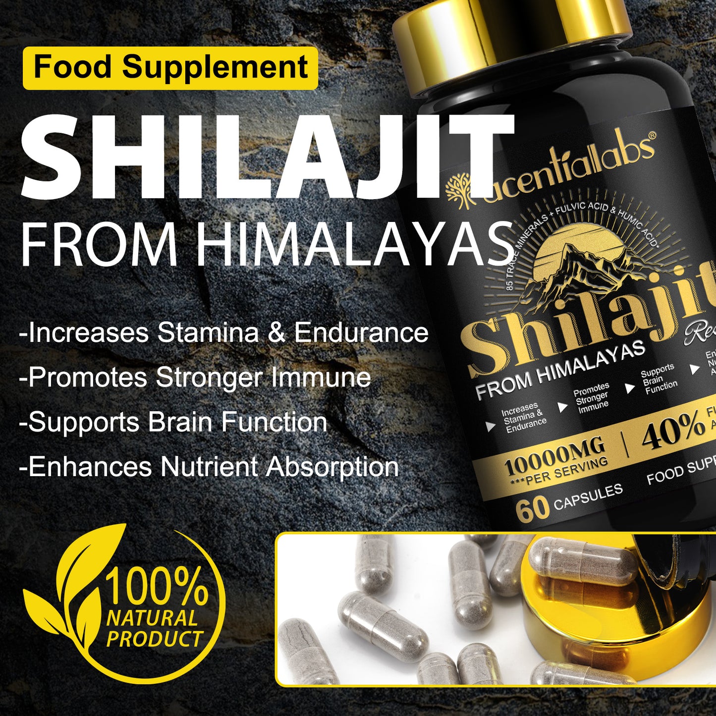 Himalayan Shilajit Resin – 60 Capsules
