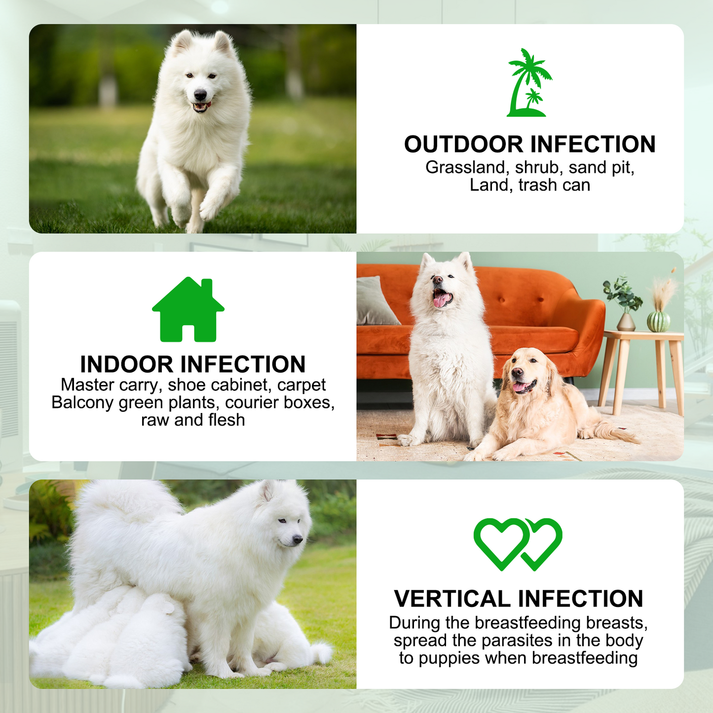 FLEA & TICK 150 CHEWS FOR DOGS