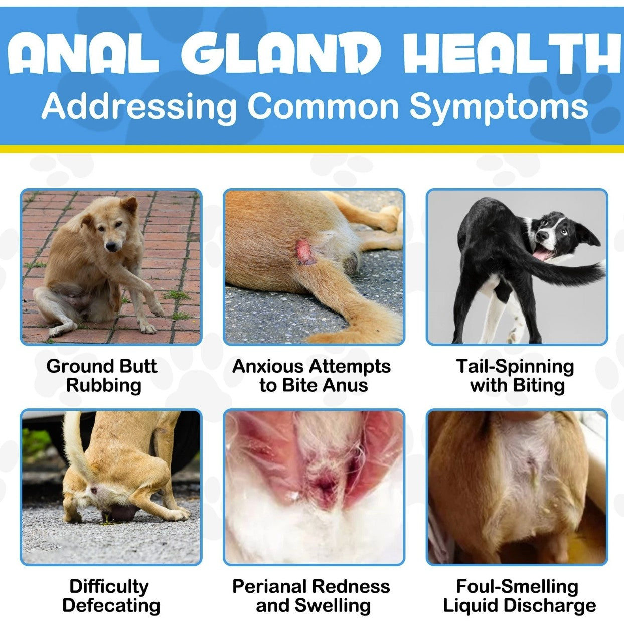 Anal Gland Support For Dogs - 150 Chews