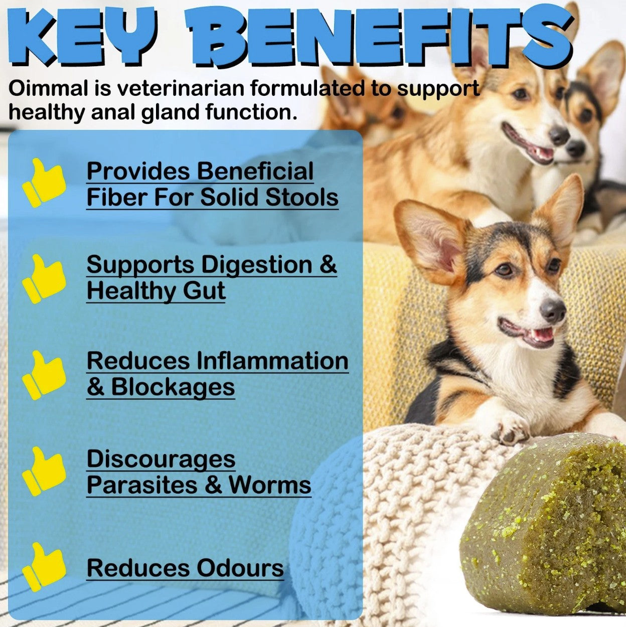 Anal Gland Support For Dogs - 150 Chews