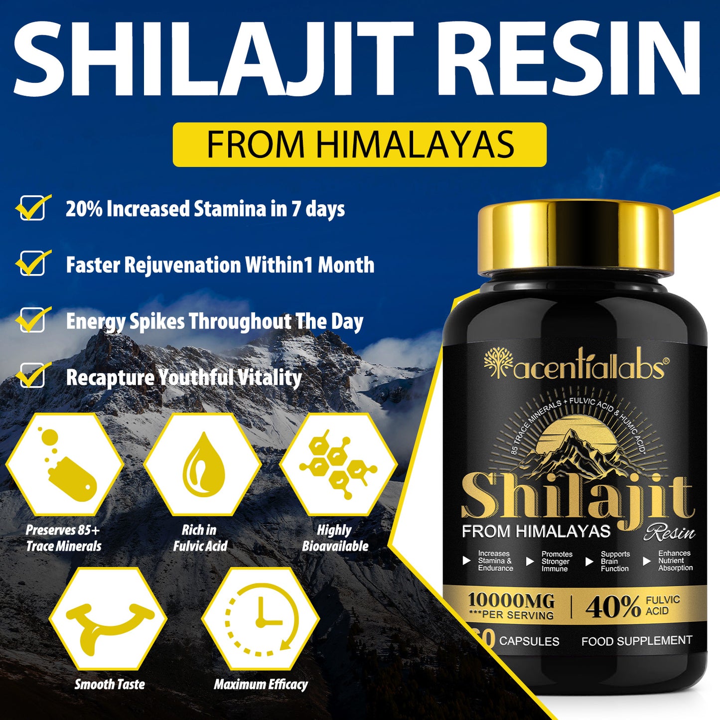 Himalayan Shilajit Resin – 60 Capsules