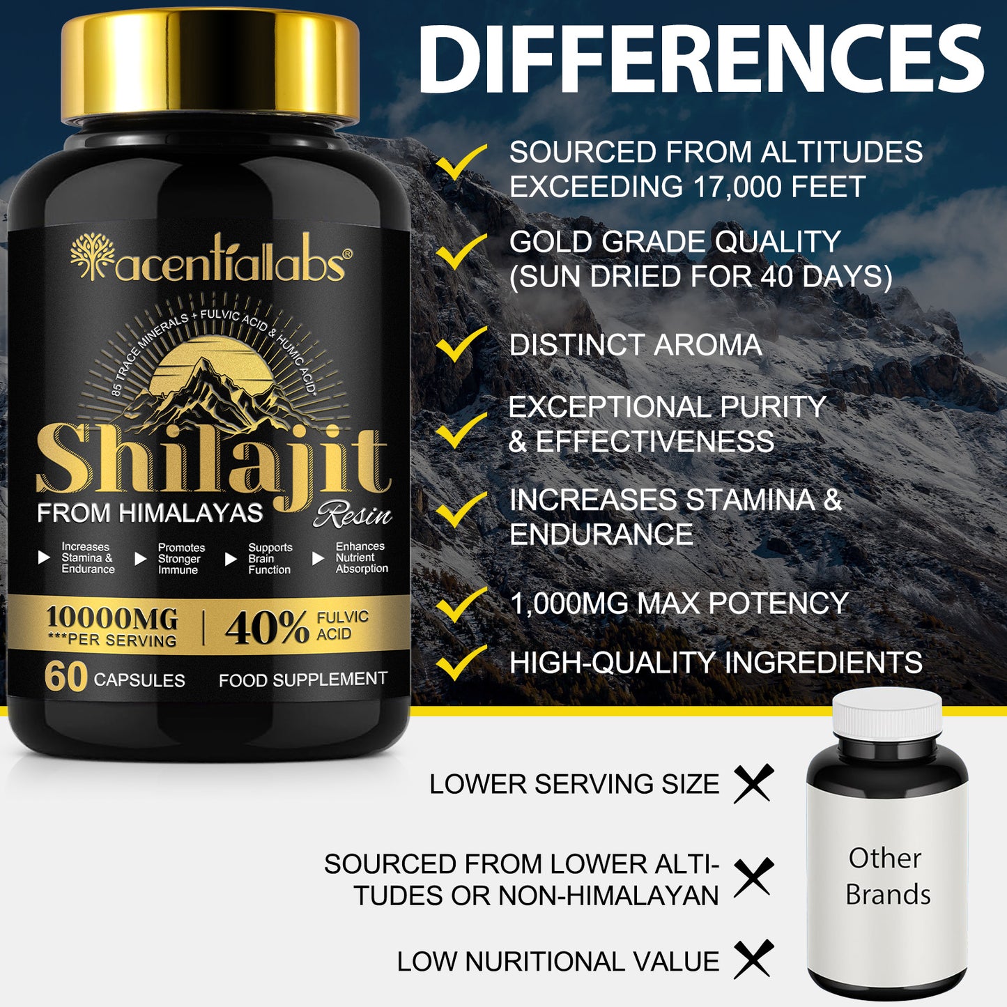 Himalayan Shilajit Resin – 60 Capsules