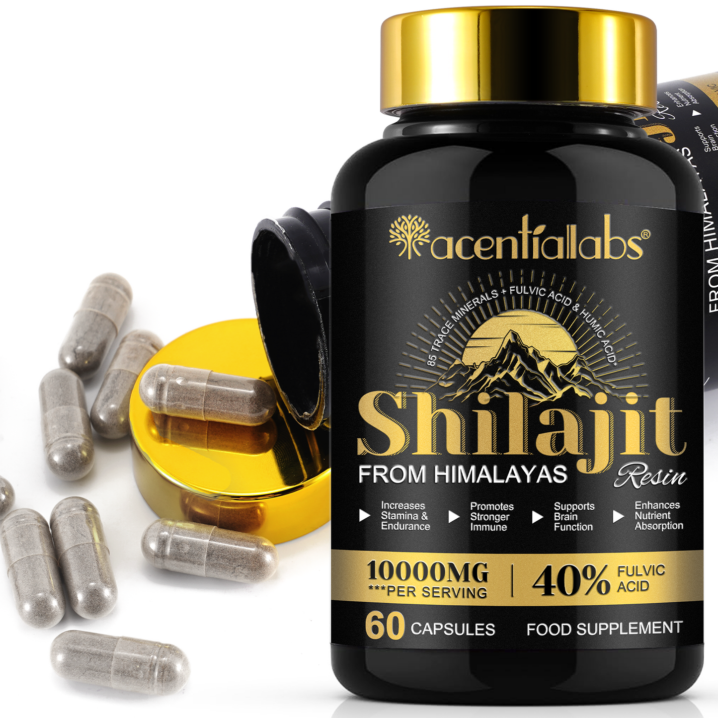 Himalayan Shilajit Resin – 60 Capsules