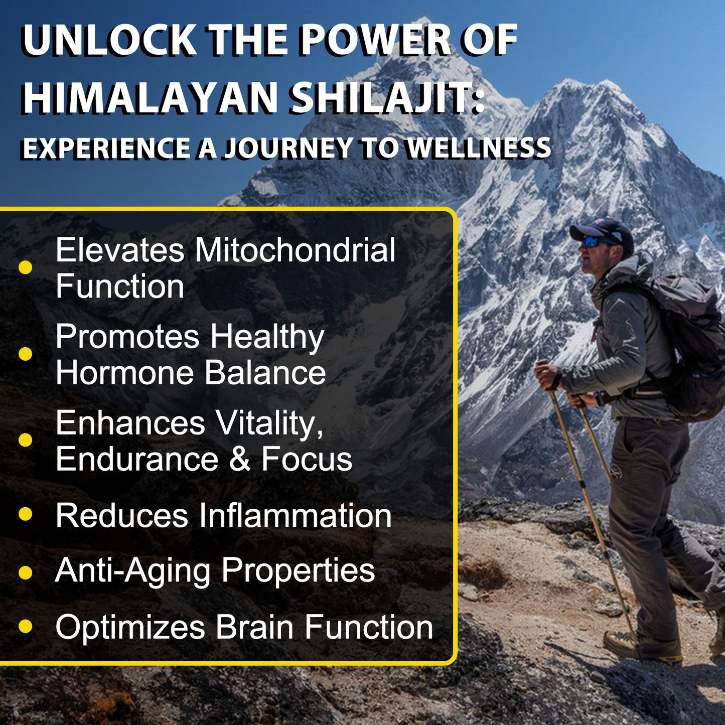 Himalayan Shilajit Resin – 60 Capsules