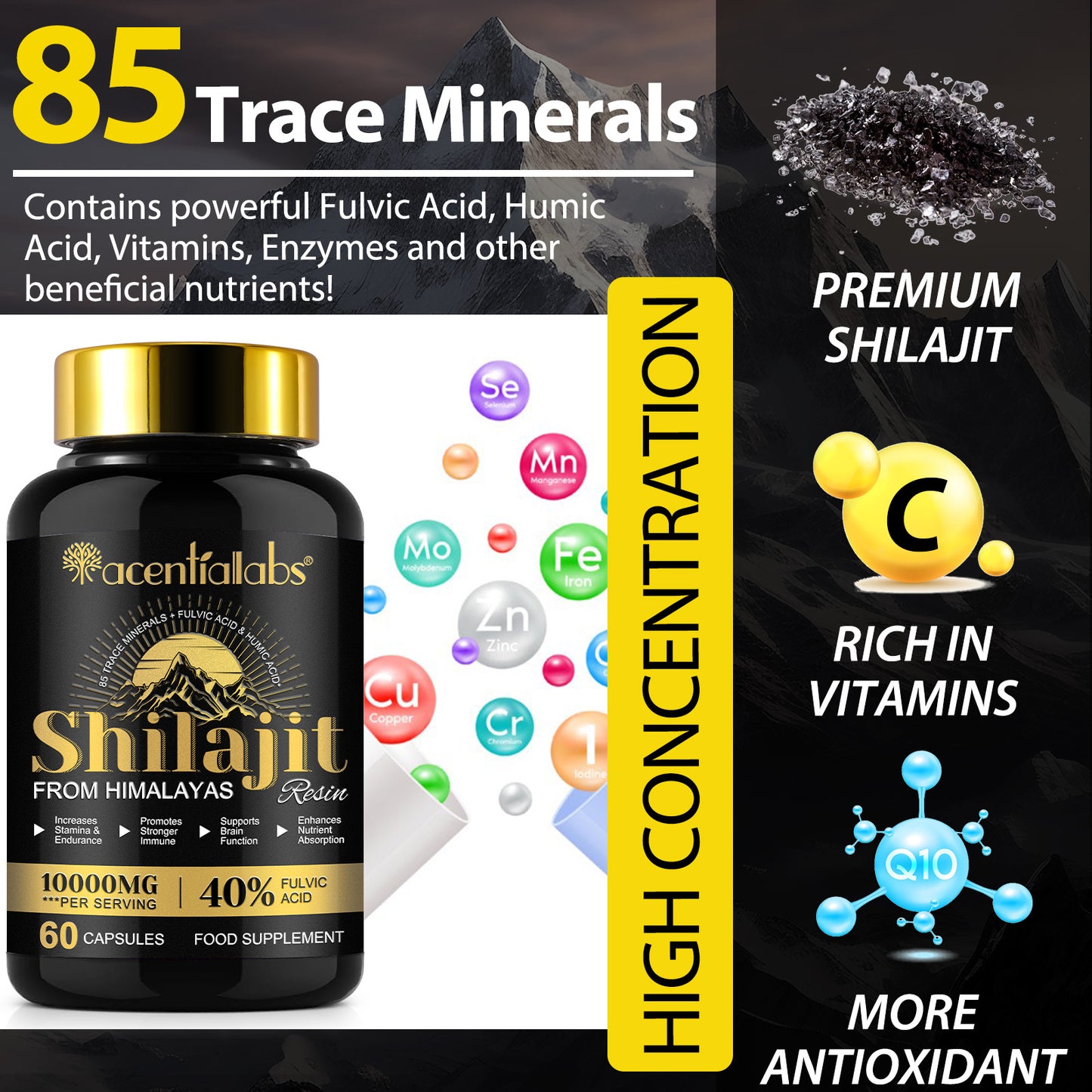 Himalayan Shilajit Resin – 60 Capsules