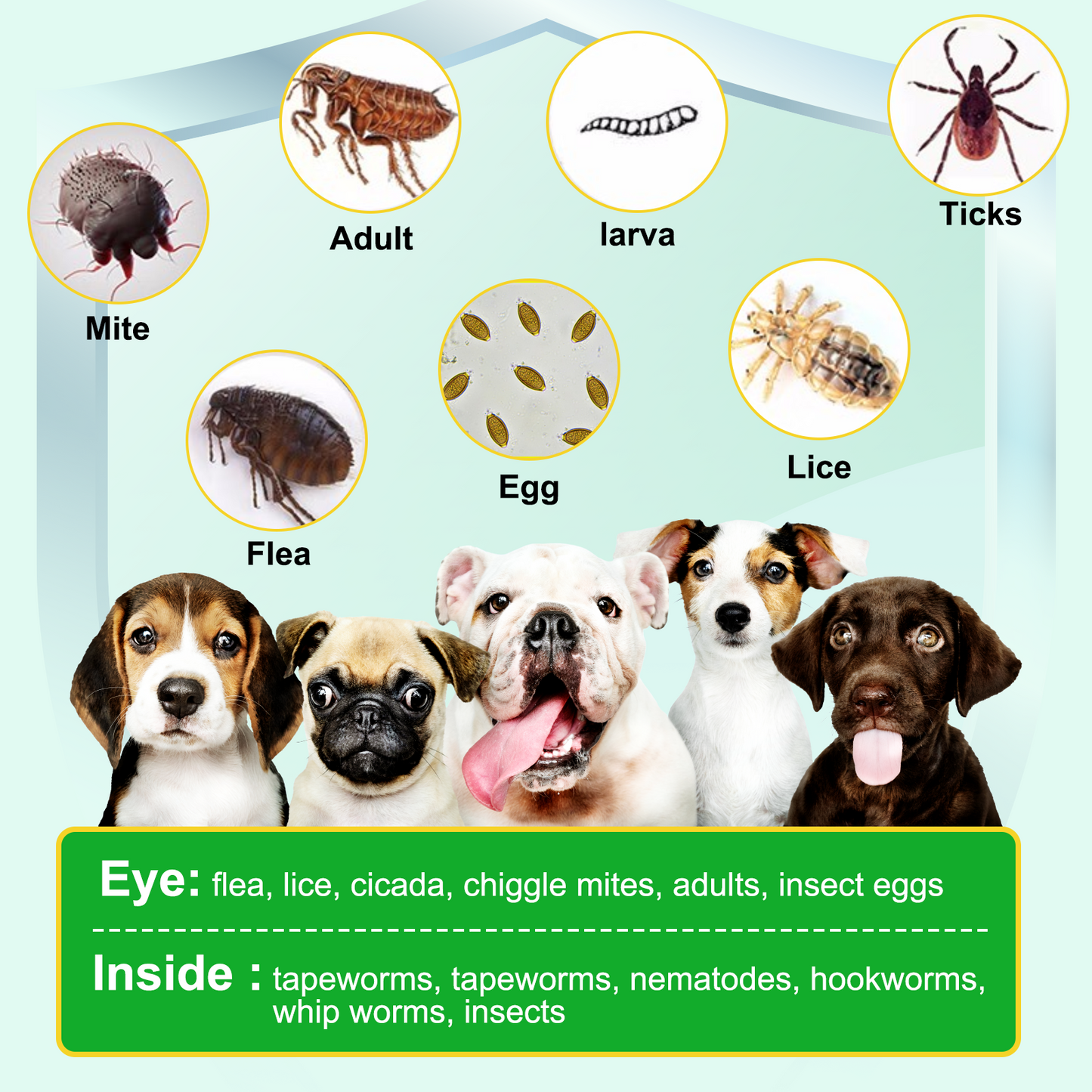 FLEA & TICK 150 CHEWS FOR DOGS