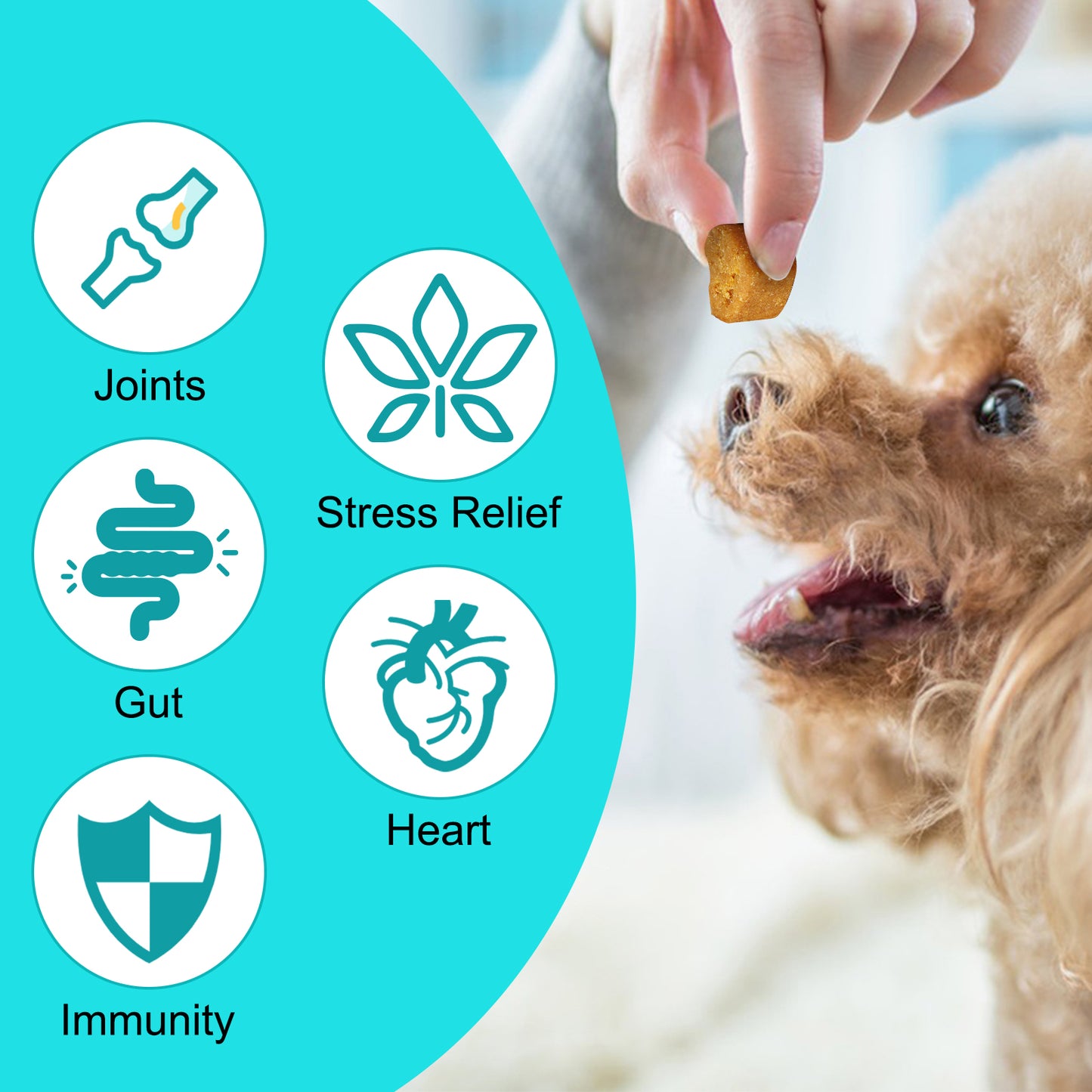 Calming Chews for Dogs