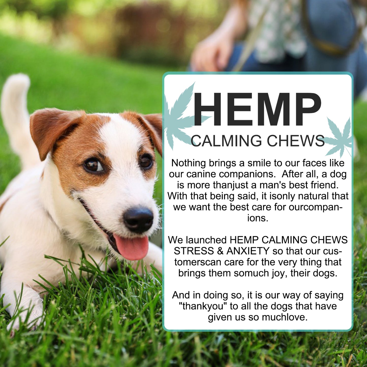 Calming Chews for Dogs